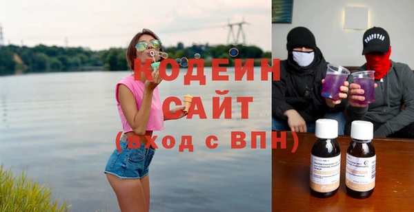 крисы Бородино