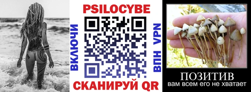 Псилоцибиновые грибы ЛСД  купить наркоту  Георгиевск 